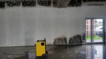 Assèchement d’un flocage anti-incendie : une nécessité afin d’éviter la prolifération de moisissures Assèchement d’un flocage anti-incendie : une nécessité afin d’éviter la prolifération de moisissures