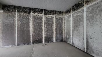 Assèchement d’un flocage anti-incendie : une nécessité afin d’éviter la prolifération de moisissures Assèchement d’un flocage anti-incendie : une nécessité afin d’éviter la prolifération de moisissures
