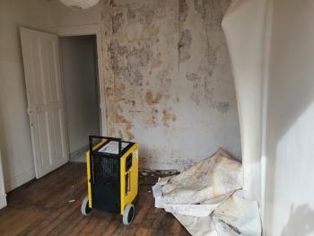 Sécher un mur humide : Optez pour un déshumidificateur professionnel plutôt qu'utiliser votre déshumidificateur domestique 